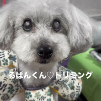 画像6568