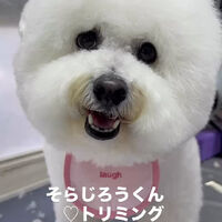 画像6570