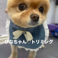 画像6574
