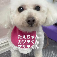 画像6580