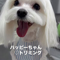 画像6586