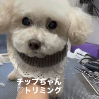 画像6588