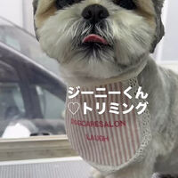 画像6594