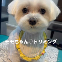 画像6596