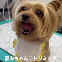 画像6711