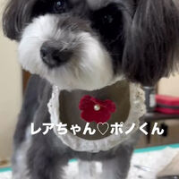 画像6713