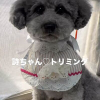 画像6715