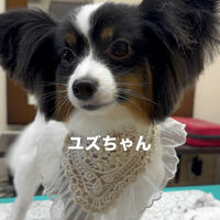 画像6719