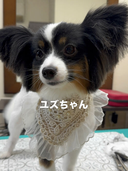 画像6719