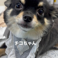 画像6720