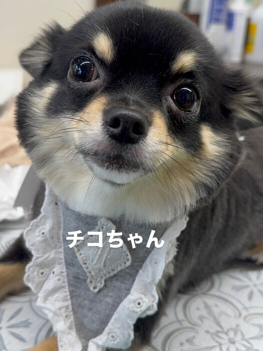 画像6720