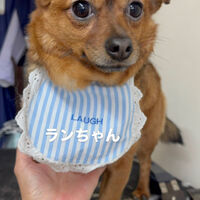 画像6723
