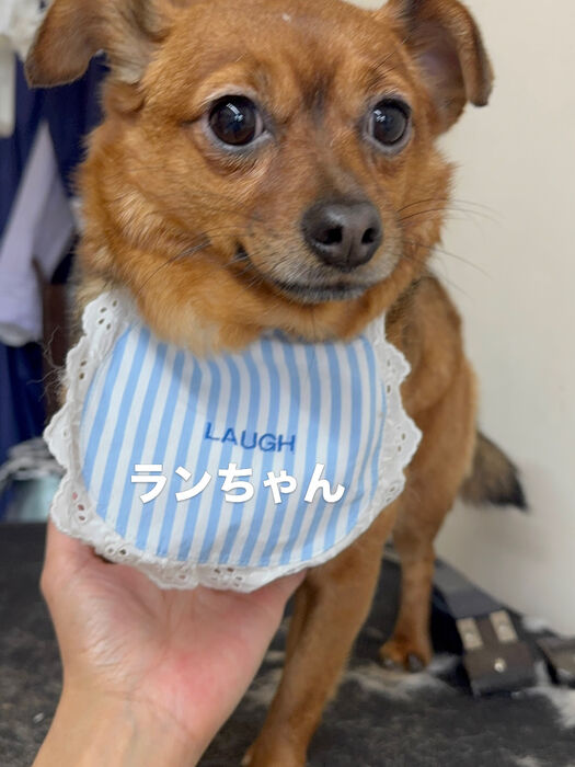画像6723