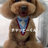 画像6733