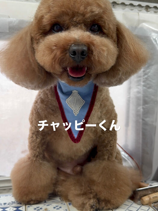 画像6733