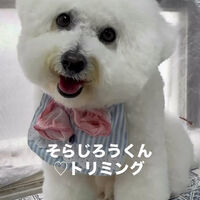 画像6750