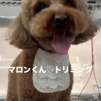 画像6752