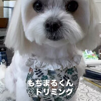 画像6754