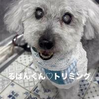 画像6758