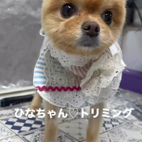 画像6766