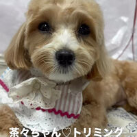 画像6768