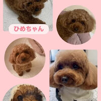 画像6772