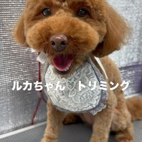 画像6792