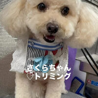 画像6794