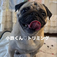 画像6806