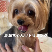 画像6808