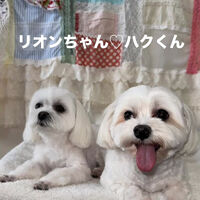 画像6812