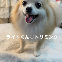 画像6832