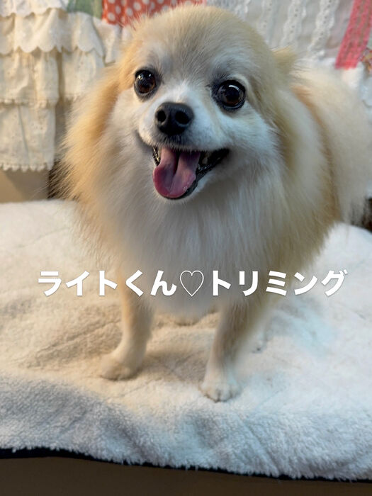 画像6832