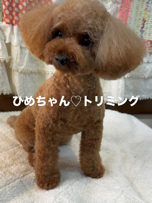 画像6837