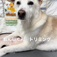 画像6843
