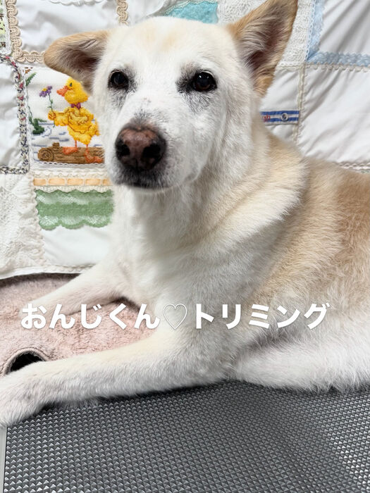 画像6843