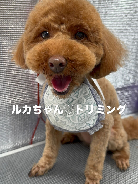 画像6849