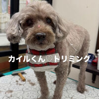 画像6857