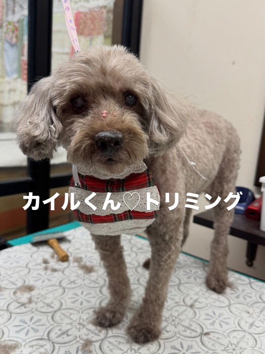 画像6857