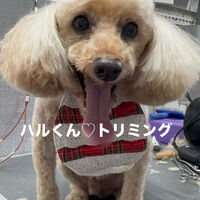 画像6862