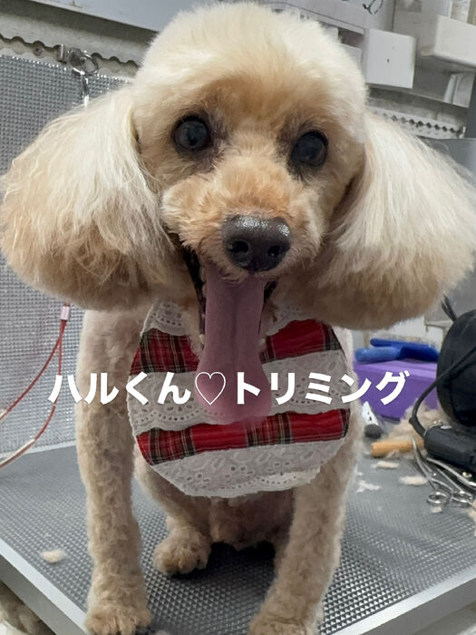 画像6862