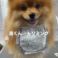 画像6866