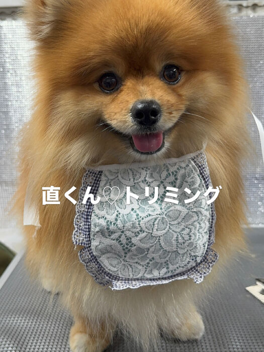 画像6866