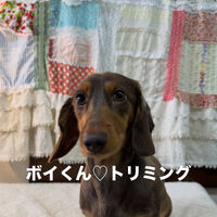 画像6874