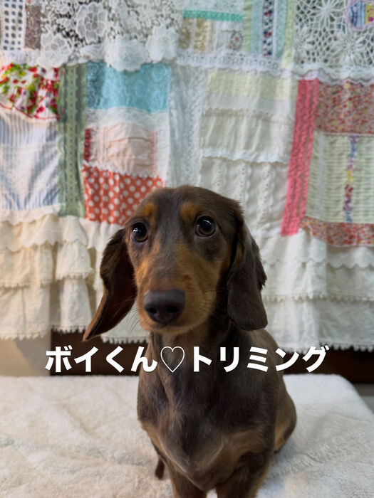 画像6874