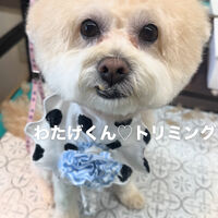 画像6883