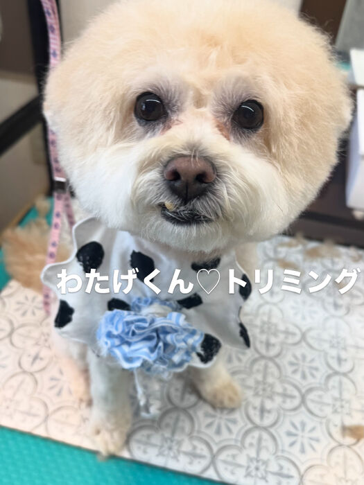 画像6883