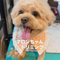 画像6885