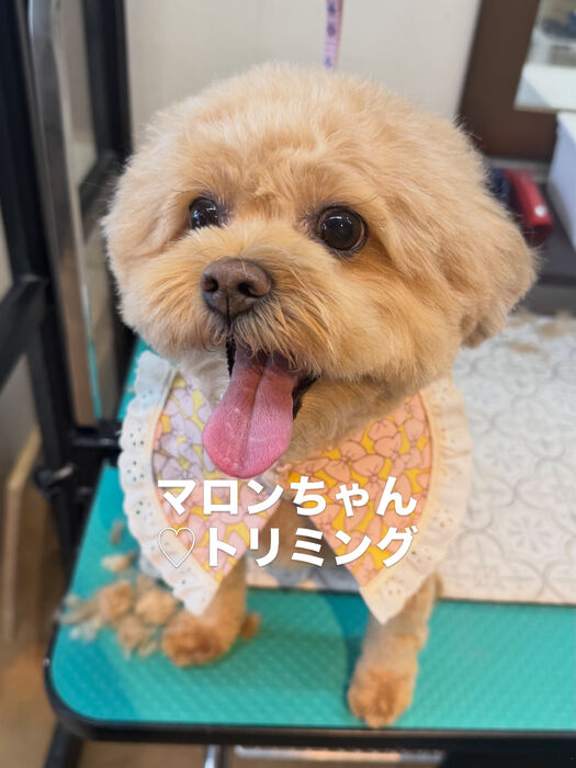 画像6885