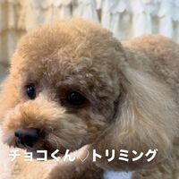 画像6893